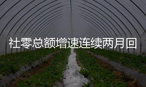 社零總額增速連續兩月回升 消費恢復韌性繼續顯現