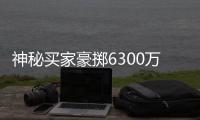 神秘買家豪擲6300萬掃貨法拍房 連續(xù)“掃貨”引關(guān)注