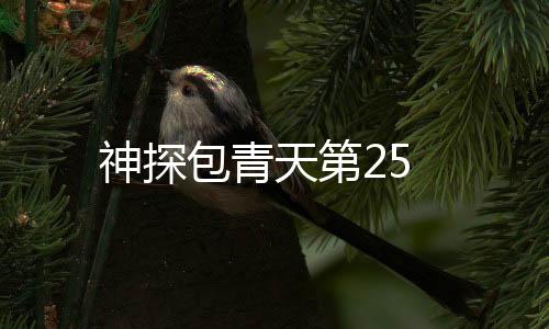 神探包青天第25