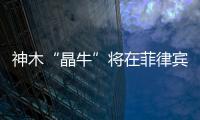 神木“晶牛”將在菲律賓建工業(yè)園,行業(yè)資訊