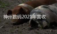 神州數碼2021年營收破千億，云業務成最大看點