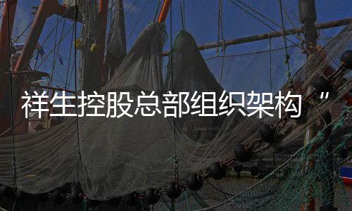 祥生控股總部組織架構(gòu)“去中心化”：重組設(shè)立9大部門