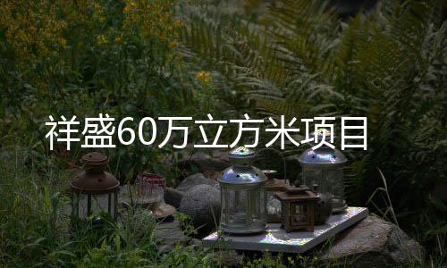 祥盛60萬立方米項目