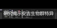 研究揭示安吉生物群特異保存海綿化石的埋藏學機制—新聞—科學網