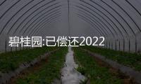 碧桂園:已償還2022年1月27日到期4.25億美元優先票據