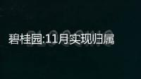 碧桂園:11月實(shí)現(xiàn)歸屬股東權(quán)益合同銷售額260.1億元