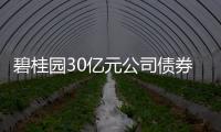 碧桂園30億元公司債券發行完成 票面利率為4.98%