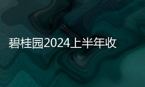 碧桂園2024上半年收入1021億,存貨減值計提已大幅減至27億