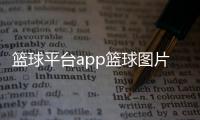籃球平臺(tái)app籃球圖片100張