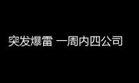 突發爆雷 一周內四公司董事長被查