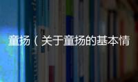 童揚（關(guān)于童揚的基本情況說明介紹）