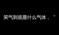 笑氣到底是什么氣體，“笑氣”到底是什么