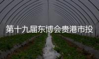 第十九屆東博會貴港市投資合作項目專場簽約儀式舉行