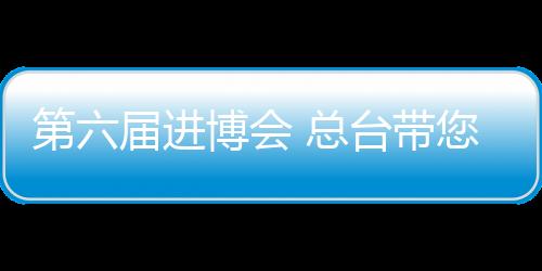 第六屆進博會 總臺帶您感受“新時代 共享未來”的進博魅力