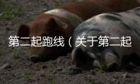 第二起跑線（關于第二起跑線的基本情況說明介紹）