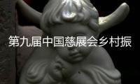 第九屆中國慈展會鄉村振興主題籌款總額超2.4億元