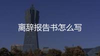 離辭報告書怎么寫