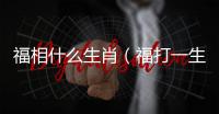 福相什么生肖（福打一生肖）