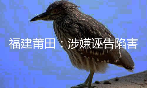 福建莆田：涉嫌誣告陷害的市人大代表被許可采取強制措施