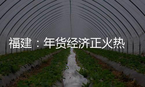 福建：年貨經濟正火熱 稅惠舉措添動能