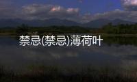 禁忌(禁忌)薄荷葉