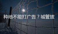 種地不能打廣告？城管拔掉田間廣告旗 種植者：那我把產品賣給誰？