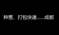 種蔥、打包快遞……成都中小學的勞動課這樣上