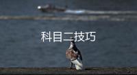 科目二技巧