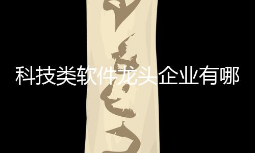 科技類軟件龍頭企業有哪些的簡單介紹