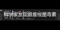 科學(xué)家發(fā)現(xiàn)艱難梭菌毒素B入侵人體的新“大門”—新聞—科學(xué)網(wǎng)