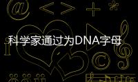 科學家通過為DNA字母表添加新字母使數(shù)據存儲的密度增加一倍