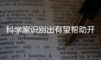 科學家識別出有望幫助開發新型抗癌療法的新型潛在靶點蛋白