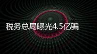 稅務總局曝光4.5億騙稅大案 主犯系河北人大代表