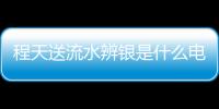 程天送流水辨銀是什么電視劇