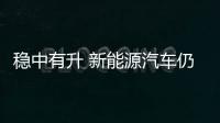 穩(wěn)中有升 新能源汽車仍是車市“火車頭”