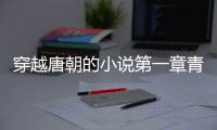 穿越唐朝的小說第一章青霉素（穿越唐朝的小說）