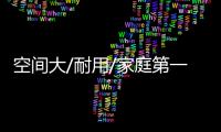 空間大/耐用/家庭第一輛車選這些價格實惠