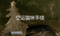 空運貓咪手續