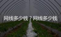 網線多少錢？網線多少錢一米？電話線多少錢一米？