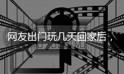 網友出門玩幾天回家后，金毛就用輕蔑的眼神看他：你還有臉回來？