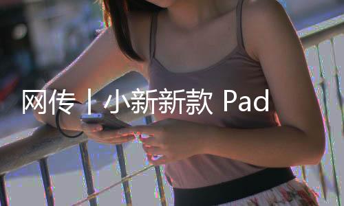 網(wǎng)傳丨小新新款 Pad Pro 新料，2.5K OLED屏、仍是驍龍870