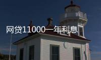 網(wǎng)貸11000一年利息2000多合法嗎（網(wǎng)貸110）