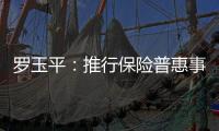 羅玉平：推行保險普惠事業 踐行鄉村振興戰略