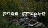 羅紅霉素：解密美食與健康的完美結合