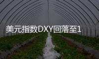 美元指數DXY回落至103下方