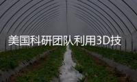 美國科研團隊利用3D技術重建和展示古代建筑