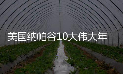 美國納帕谷10大偉大年份（上）