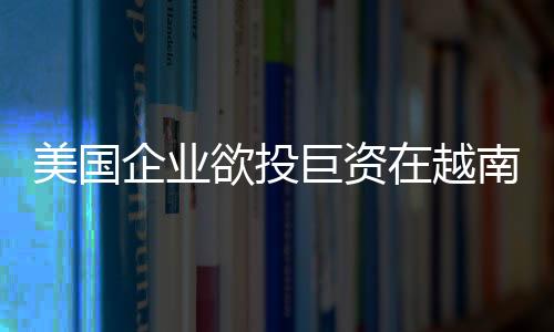 美國企業欲投巨資在越南興建液化氣發電站和儲存中心