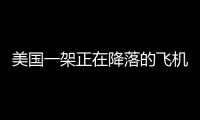 美國一架正在降落的飛機上出現了一條蛇 乘客被嚇連連尖叫