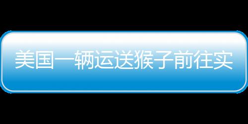 美國一輛運送猴子前往實驗室的卡車造成4只猴子逃跑 幾只已被安樂死